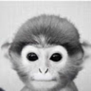 Meet your Posher, Tryston